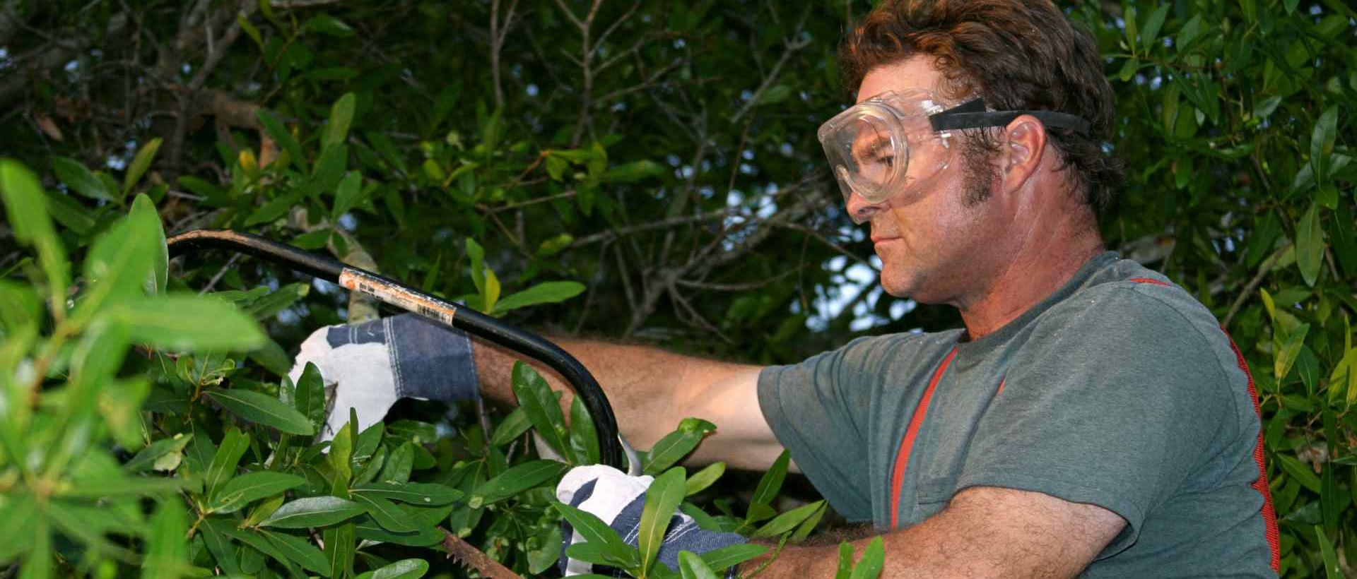 garden clearance E15