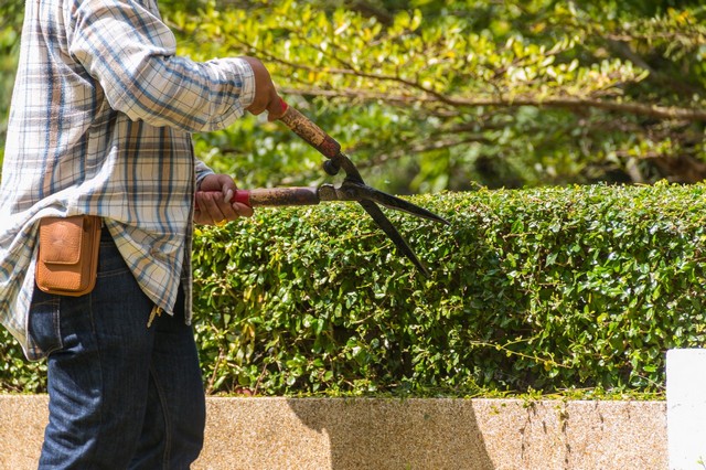 Garden Maintenance Stratford, West Ham, E15